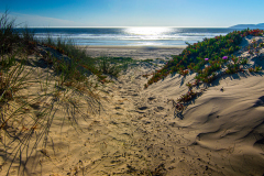 Sandy Outlook On The Pacific Ocean