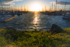 Safe Harbor