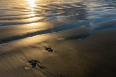 Seashell and Sands at Pismo Beach Sunset