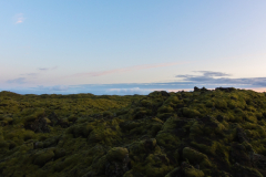 Sacred Land