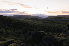 Road to Vik