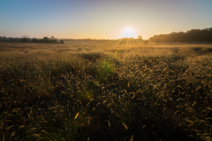 Greater Light
